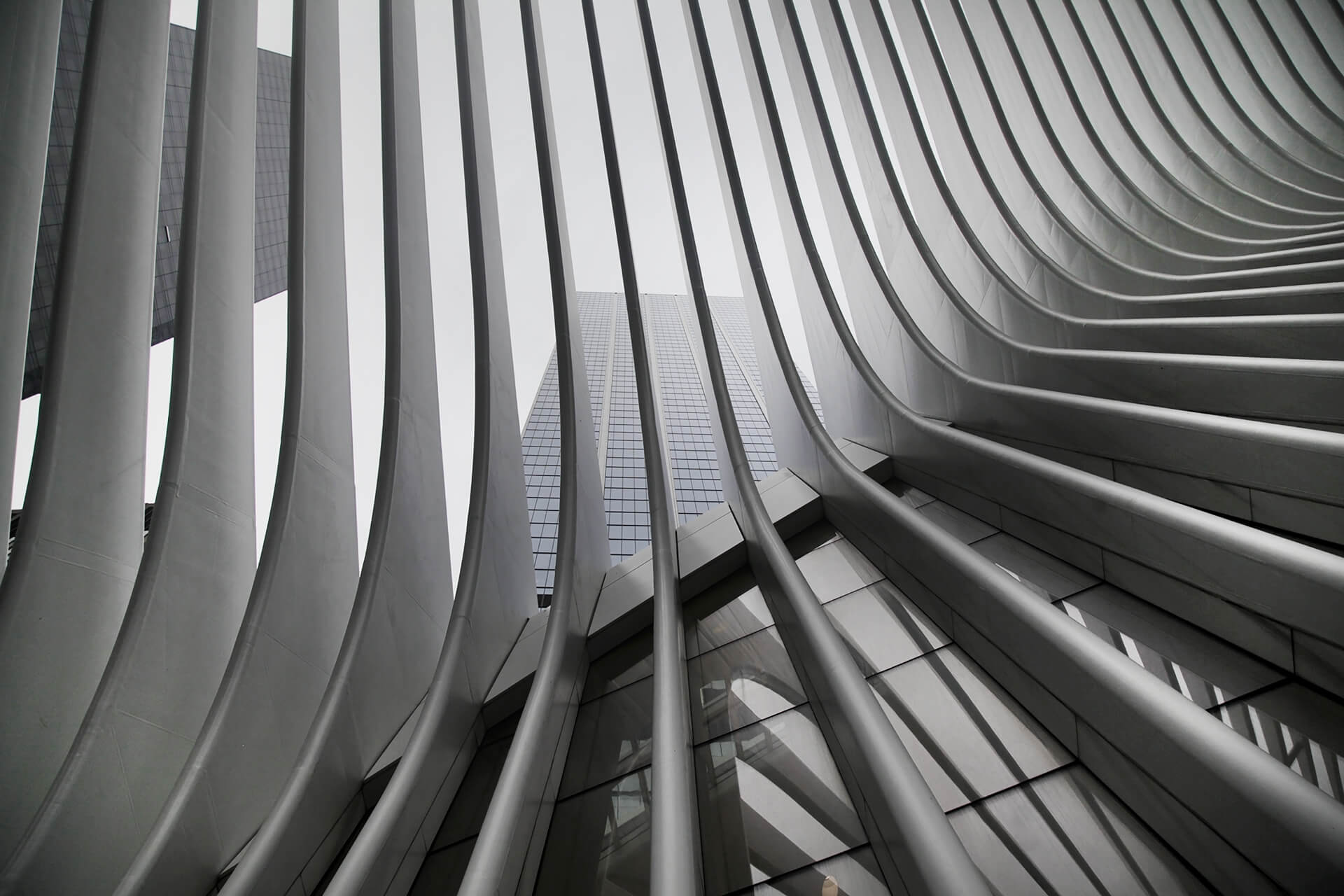 Harmonizing Form and Function: Architectural Insights ...
